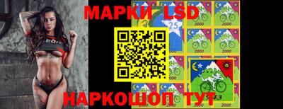 сатива Будённовск