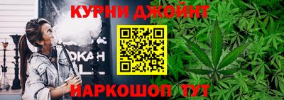 сатива Будённовск