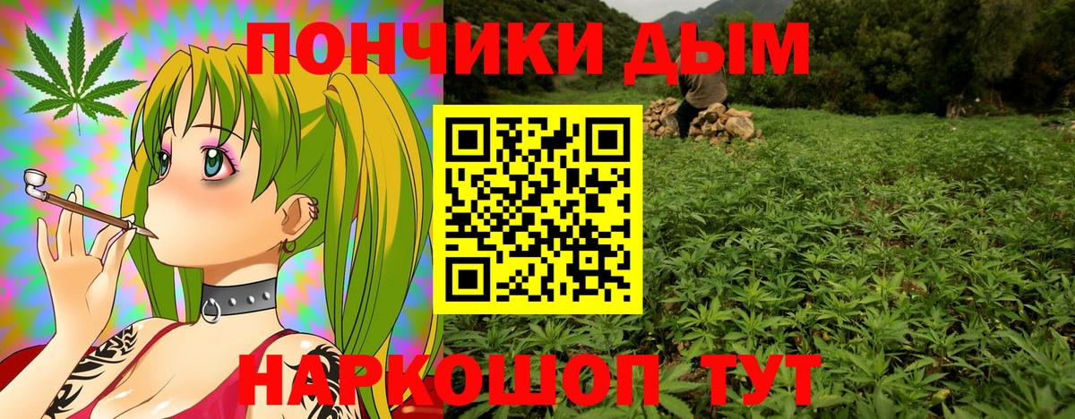 Марихуана сатива Конаково